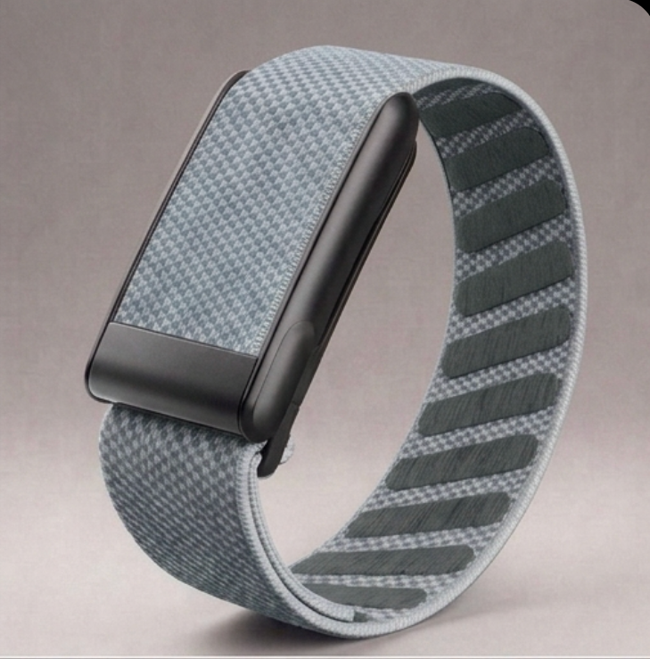 Bracelet WHOOPRO — Twilight Gray #30